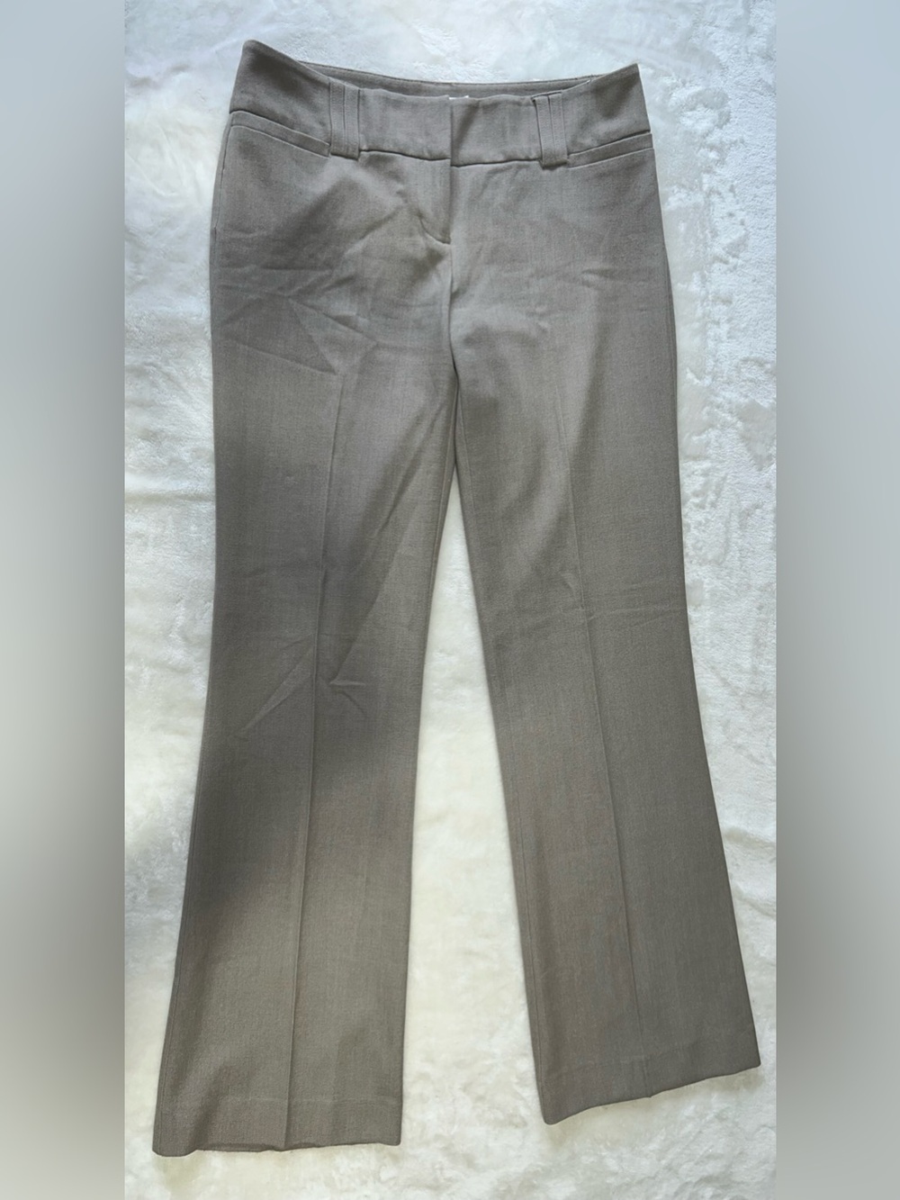 Ricki's Women's Bootcut Dress Pants in Taupe
